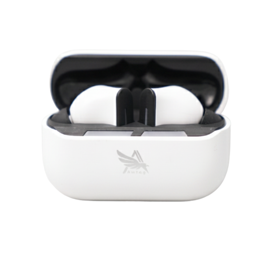 Awtog Groove Buds True Wireless Earbuds | Bluetooth V5.4 | Type-C Fast Charging